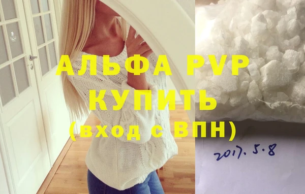 стаф Абинск