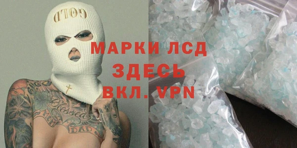 стаф Абинск