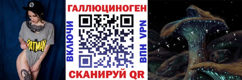 Галлюциногенные грибы Psilocybe  Нижнекамск 